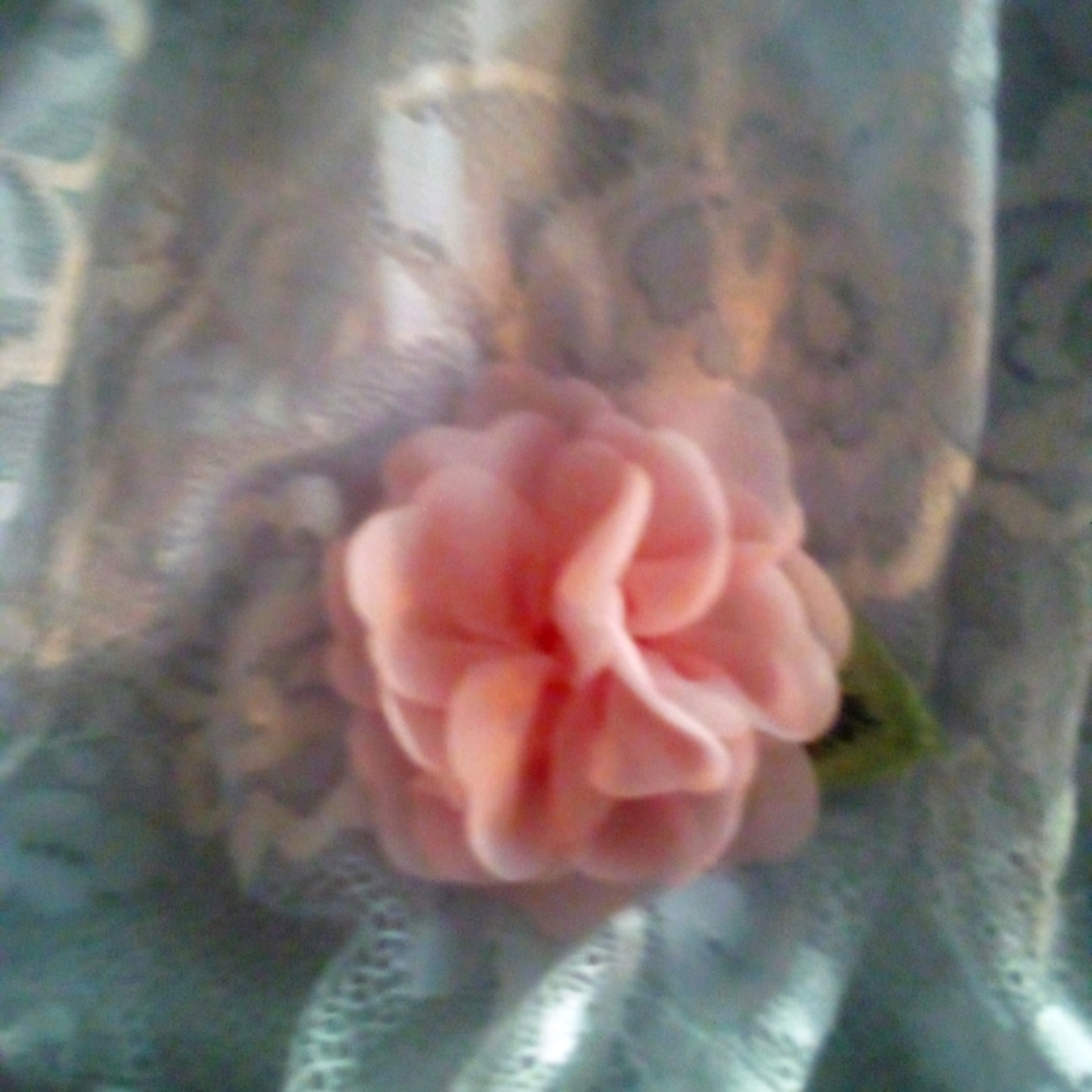 Stunning baby blue lace dress with pink roses size 8 girls biscotti never worn !